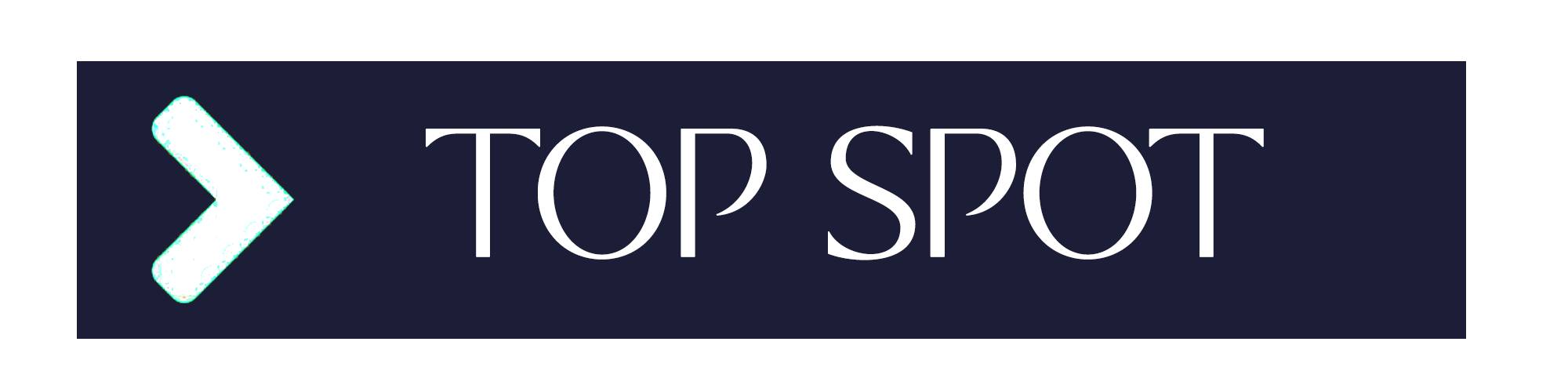 Top Spot logo